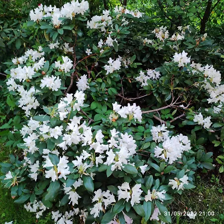 Boutigue House With Terrace And Garden Free Parking Apartamento