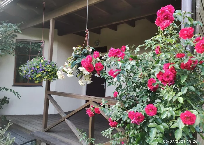 Apartment Boutigue House With Terrace And Garden Free Parking