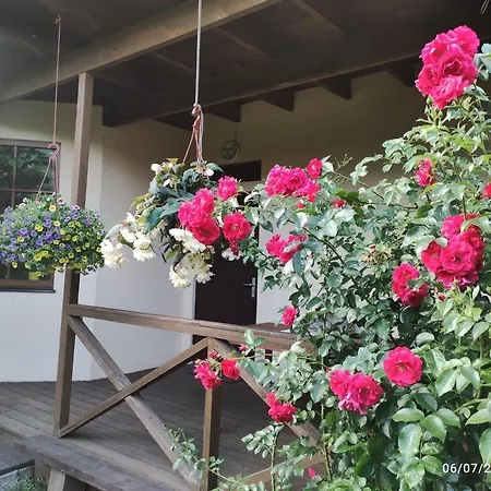 Апартаменти Boutigue House With Terrace And Garden Free Parking