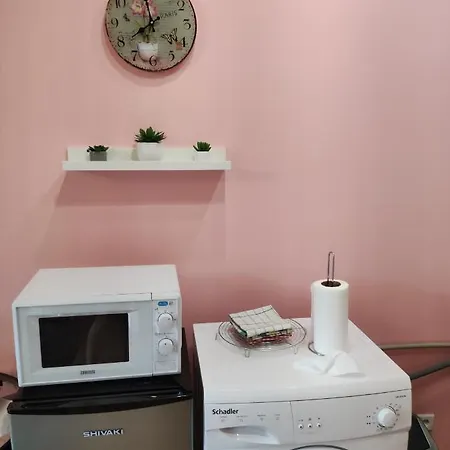 Boutigue House With Terrace And Garden Free Parking Appartement Riga