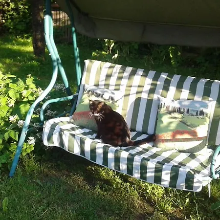 Boutigue House With Terrace And Garden Free Parking Appartement